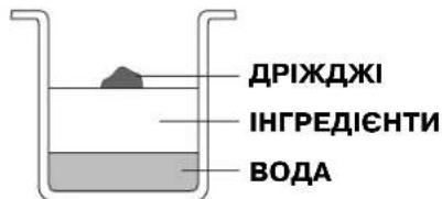 ДРІЖДЖІ ІНГРЕДІЄНТИ ВОДА
