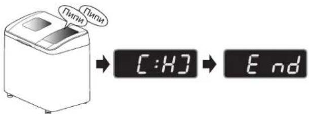 Пипи Пипи C:H] → End
