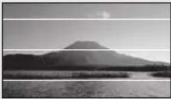 PANASONIC SDR-T50P/PC - ■ About target frame - 23