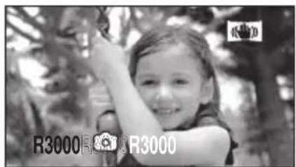 R3000R3000R3000