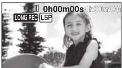 II 0h00m00s 0h300m00s LONG REC LSP