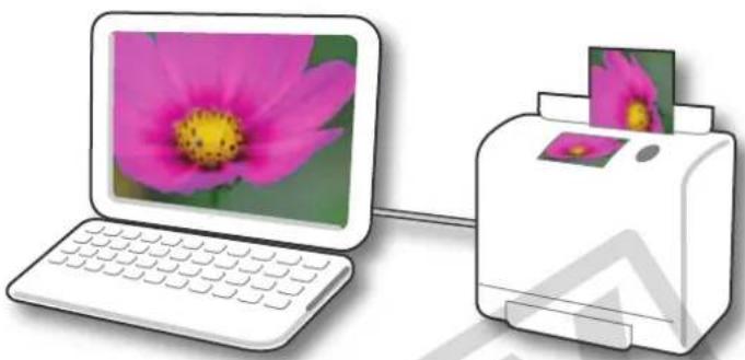 CANON Ixus SD4000 IS - Printing a Single Image on a Single Page - 1