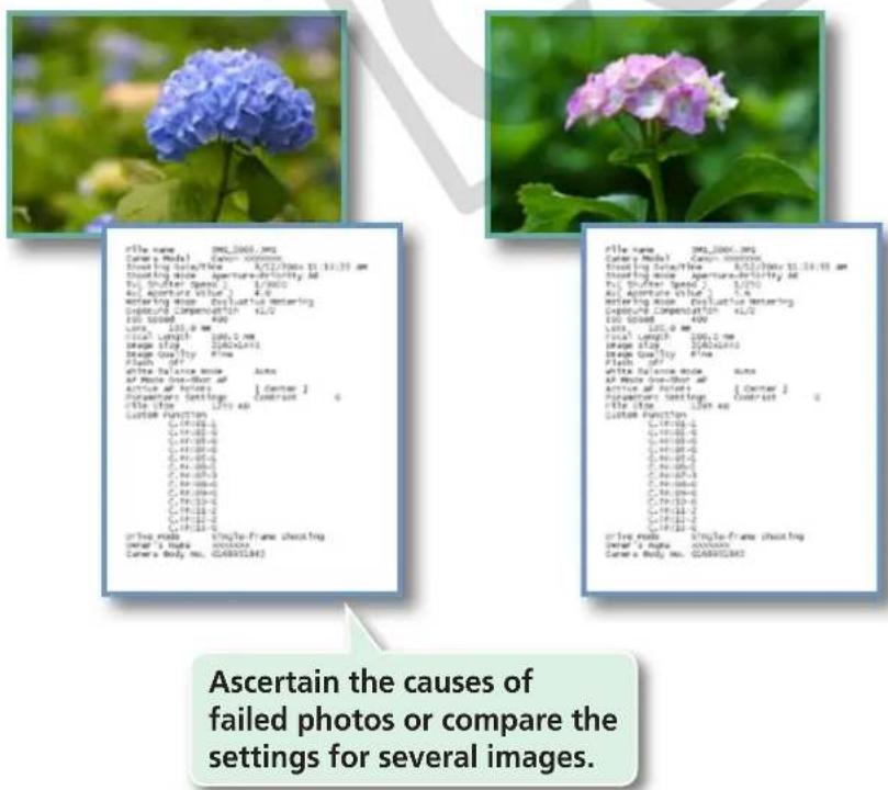 CANON Ixus SD4000 IS - Exporting Shooting Information - 1