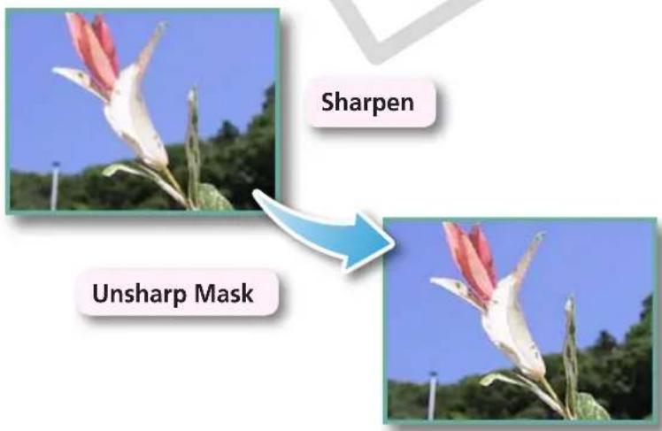 CANON Ixus SD4000 IS - Adjusting Sharpness–Emphasizing Outlines - 1