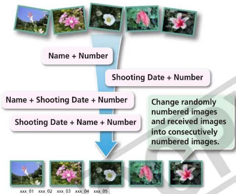 CANON Ixus SD4000 IS - Changing File Names in Batches - 1