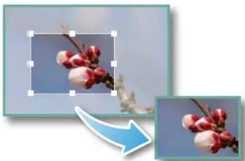 CANON Ixus SD4000 IS - Trimming-Cropping a Portion of an Image - 1