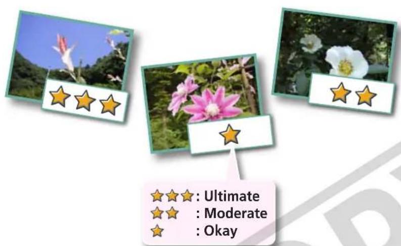 CANON Ixus SD4000 IS - Setting Star Ratings - 1