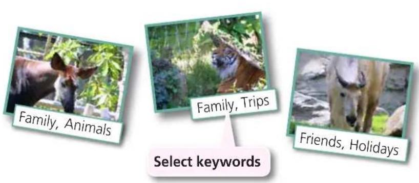 CANON Ixus SD4000 IS - Assigning Keywords - 1