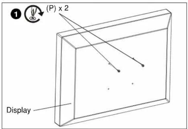 (P) x 2 Display