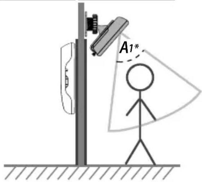 A1*