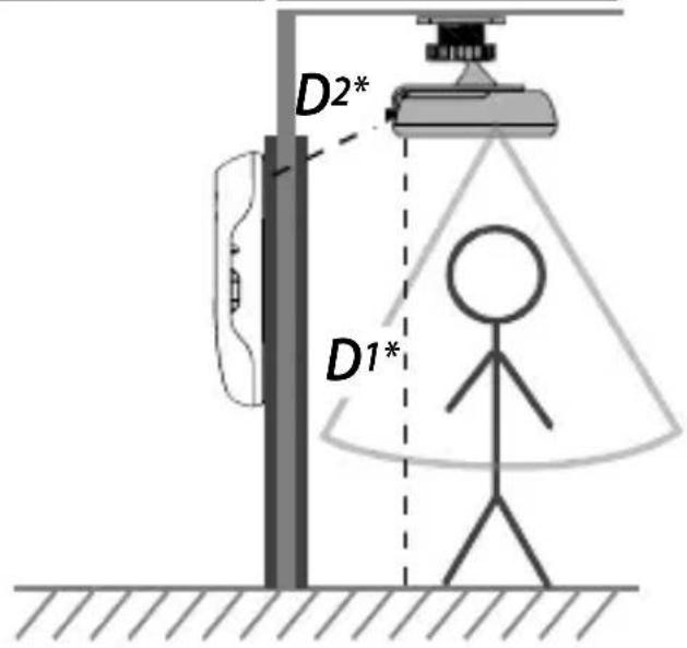 D2* D1*