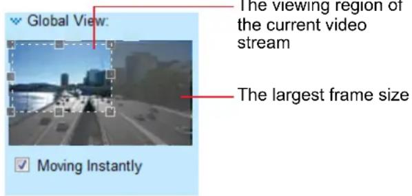 Global View: The viewing region of the current video stream The largest frame size Moving Instantly