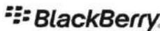 Man & Machine CoolMIR - Download via a cable using your BlackBerry's Desktop Manager - 3