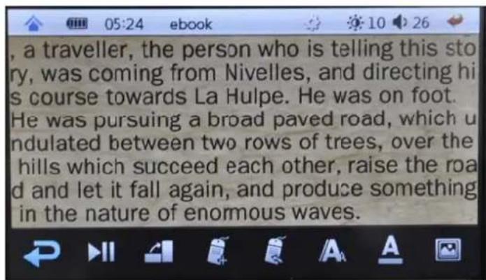 , a traveller, the person who is telling this story, was coming from Nivelles, and directing his course towards La Hulpe. He was on foot. He was pursuing a broad paved road, which undulated between two rows of trees, over the hills which succeed each other, raise the road and let it fall again, and produce something in the nature of enormous waves.