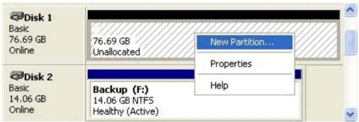 Disk 1 Basic 76.69 GB Online 76.69 GB Unallocated New Partition... Properties Help Disk 2 Basic 14.06 GB Online Backup (F:) 14.06 GB NTFS Healthy (Active)