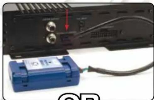 PHOENIX GOLD ISeries - Connecting the PAC-UP to the Amplifier/PC - 1