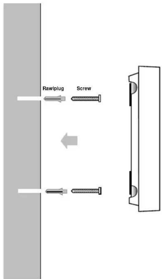 RawIplug Screw