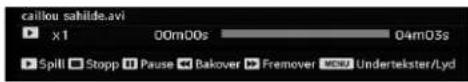 Finlux 42FLHX880HU - Videoavspilling (valgfritt) - 1
