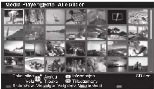 Media Player Foto Alle bilder Enkeltbilde Avslutt Informasjon Velg Tilbake Tilleggsmeny Slide-show Vis valgte Velg drev Velg innhold SD-kort