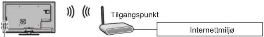 Tilgangspunkt Internettmiljø