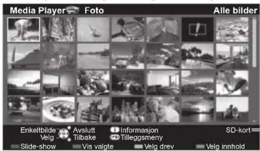 Media Player Foto Alle bilder Enkeltbilde Avslutt Informasjon SD-kort Velg Tilbake Tilleggsmeny Slide-show Vis valgte Velg drev Velg innhold