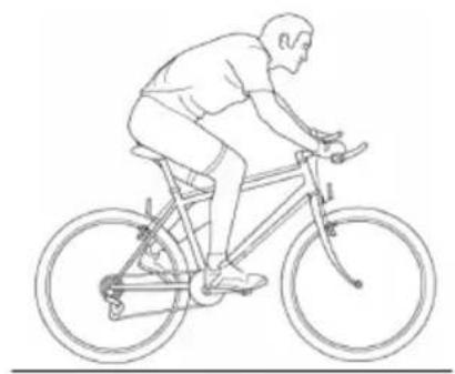 Kayoba Elegance 630-082 - Saddle height - 1