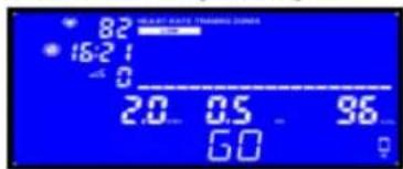 82 16:2 1 0 2.0 0.5 96 60