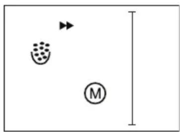 MEDION MD 42655 - Kaffemengde - 1