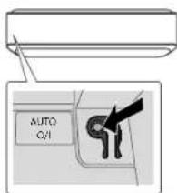 AUTO OIL