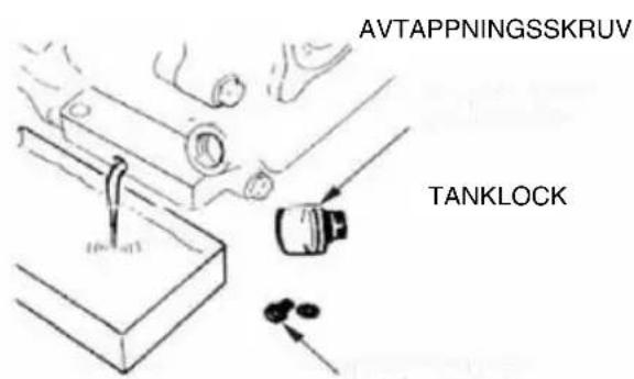 AVTAPPNINGSSKRV TANKLOCK