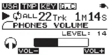 VSH TMP KEY G.C ALL 22 Trk 1M14S PHONES VOLUME LEVEL: 14 VOL- VOL+