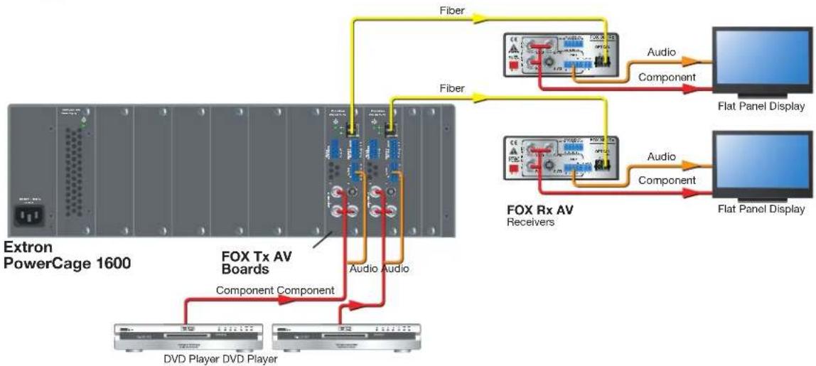 Extron PowerCage FOX Rx AV MM - Features - 1