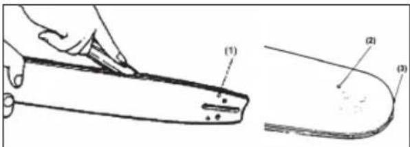 (1) (2) (3)