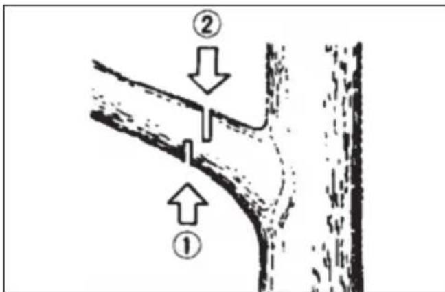 Park & Garden CS4600 - TRIMMING - 1
