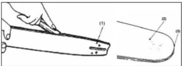 (1) (2) (3)