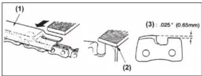 Park & Garden CS4600 - WARNING - 1