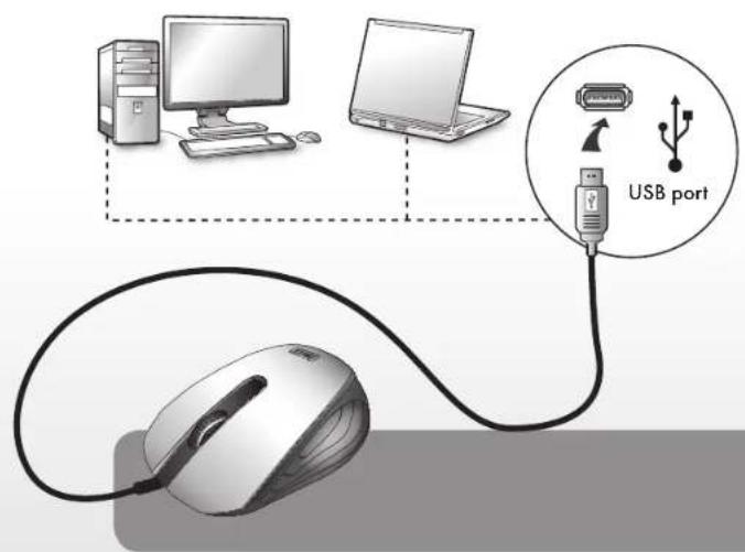 Diagram showing computer setup with monitor, laptop, USB port, and mouse connected via cable