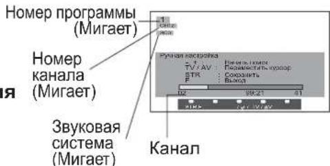 Programnummer (Blinker) Kanalnummer (Blinker) Lydsystem (Blinker) Kanal
