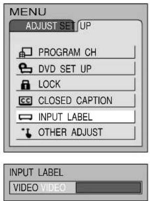 PANASONIC TC-15DT2 - Customizing the VIDEO INPUT labels - 2