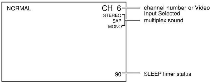 PANASONIC TC-15DT2 - DISPLAY (On-screen display) - 3