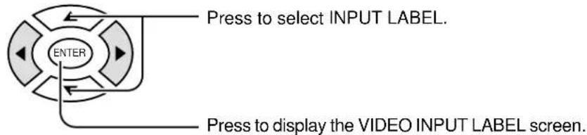 PANASONIC TC-15DT2 - Customizing the VIDEO INPUT labels - 1