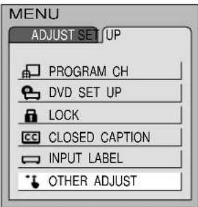 PANASONIC TC-15DT2 - Automatically changing screen size for VIDEO INPUT modes - 2