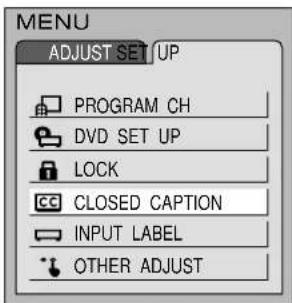 PANASONIC TC-15DT2 - Closed Captions - 2