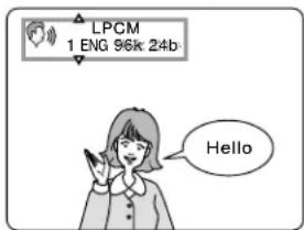 PANASONIC TC-15DT2 - Press DISPLAY during play to display the disk information. - 1