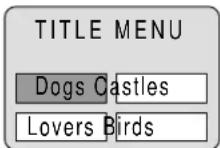 PANASONIC TC-15DT2 - Press TOP MENU during play. - 1