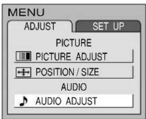 PANASONIC TC-15DT2 - Audio Adjustments - 3