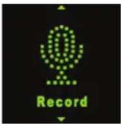 Record