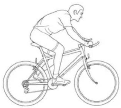 Kayoba 006-380 - SE DAMCYKEL - 9
