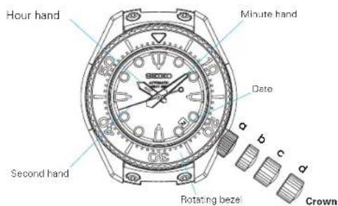 Hour hand Minute hand Date Second hand Rotating bezel Crown