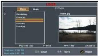 Naxa NT-1508 - USB Operation - 1